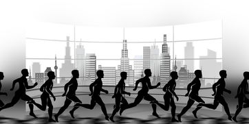 开云体育官网登入-NBA球队赛事安全管理体系建设，nba球队管理系统数据库